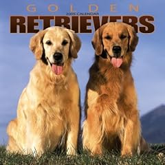 Golden Retrievers Wall Calendar 2005