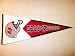 Tampa Bay Buccaneers NFL Classic Football Pennant