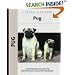 Pug (Kennel Club Dog Breed Series)