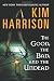 Search : The Good, the Bad, and the Undead (The Hollows, Book 2)