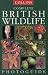 Book Complete British Wildlife (Collins Complete Photo Guides)