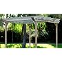 Redwood Garden Pergola 10X12