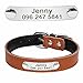 Didog Cute Leather Padded Custom Dog Collar with Engraved Nameplate ID Tag,Fit Cats and Small Medium Dogs,Brown,M Size
