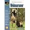 weimaraner books