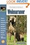 The Guide to Owning a Weimaraner