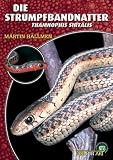 Produkt-Bild: Die Strumpfbandnatter: Thamnophis sirtalis
