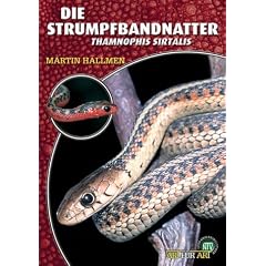 Die Strumpfbandnatter: Thamnophis sirtalis