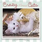 Crazy About Cats 2008 Wall Calendar