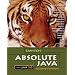 Absolute Java with Student Resource Disk (2nd Edition)