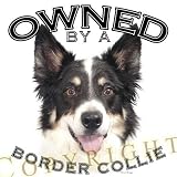 Border Collie Owned By Adult Sweatshirt