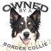Border Collie Owned By Adult T Shirt