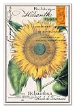 kitchen design ideas-Michel Design Works Cotton Kitchen Towel, Sunflower