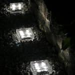 Lot de 12 Grands Pav�s LED Solaires e...