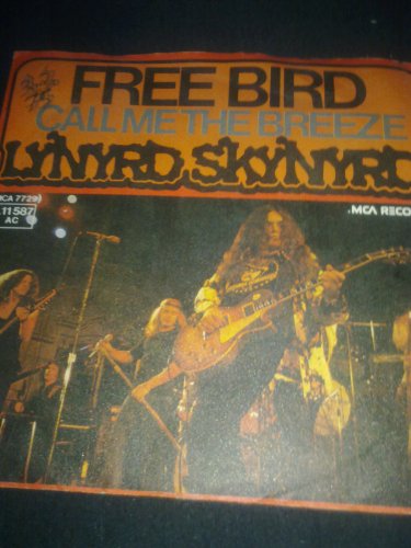 Lynyrd Skynyrd Foto 16