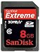 SanDisk+8GB+Extreme+SDHC+Class+10+High+Performance+Memory+Card+%28SDSDX3-008G-P31%29