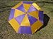 Sigma Pi Purple & Gold Double Canopy Windbuster 60" Umbrella