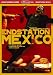 Endstation Mexico [Edizione: Germania]