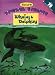 Whales and Dolphins (Sticker Stories)
