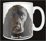Review Advanta  / BLACK COCKER SPANIEL-Yours Forever Coffee Mug