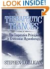 Therapeutic Trances: The Co-Operation Principle In Ericksonian Hypnotherapy