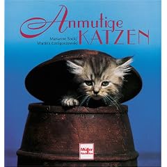 Anmutige Katzen