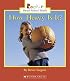 How Heavy Is It? (Rookie Read-About Math)