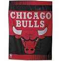 Bulls WinCraft NBA Wall Banner