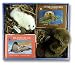Smithsonian Oceanic Collection: Islands of Ice/Otter on His Own (Smithsonian Soundprints Mini Book and Plush Series)