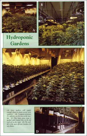Indoor Marijuana Horticulture (Marijuana Horticulture: The Indoor/Outdoor Medical Grower's Bible)