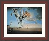 "Temptation Of St.Anthony" by Salvador Dali - Framed Artwork