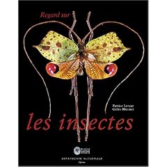 Regard sur les insectes : Collections d'entomologie du Museum national d'histoire naturelle