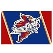 Iowa State Rug - Red/ Blue (Rectangle)