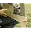 Walter E Clark 4-Inch by 150-Foot Tree Wrap 00304