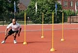Agility Poles