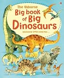 Big Book of Dinosaurs (Usborne Big Books)