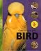 Owning a Pet Bird