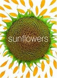 Sunflower Small Note Cards (Potter Style)