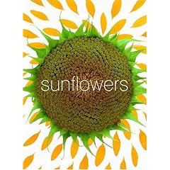 Sunflower Small Note Cards (Potter Style)