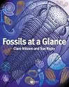 Fossils at a Glance