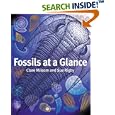 Fossils at a Glance (At a Glance) by  Clare Milsom and Sue Rigby