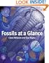 Fossils at a Glance