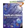 Fossils at a Glance (At a Glance)
