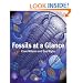 Fossils at a Glance