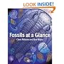 Fossils at a Glance