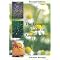 My favourite aromatherapy titles - useful for all levels.