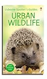 Urban wildlife