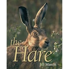 The Hare
