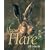 The Hare