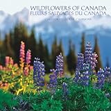 Wildflowers of Canada Fleurs sauvages du Canada 2009 Square Wall Calendar