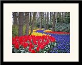 Picture Frame 33 Maple Black .. .8125'' wide